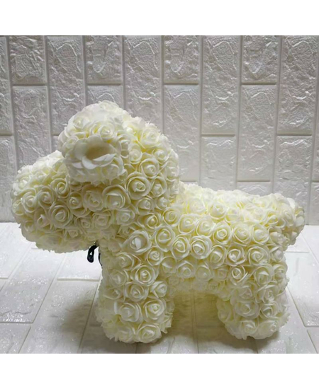 Qenush me Lule, foto , 2 image