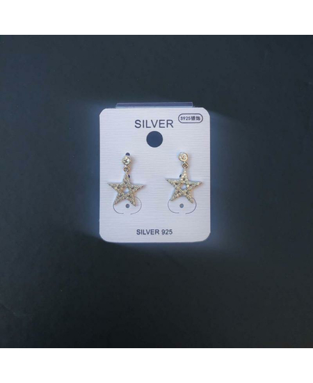 Vethe Argjendi ne Forme Ylli, photo , 3 image