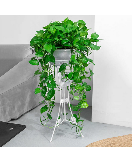 Stende Metalike per Vazo, Ngjyra: E Bardhë, photo , 3 image